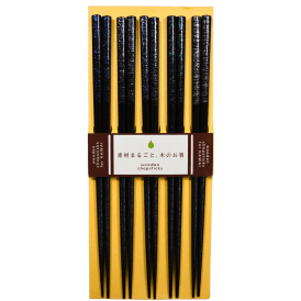 Aurora 5 Piece Chopsticks