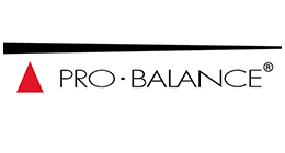 Pro Balance Knives Pro Balance 2 Piece Carving Set