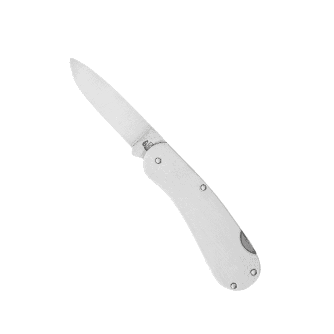 Taylors Eye Witness All Stainless Drop Point Lock Knife
