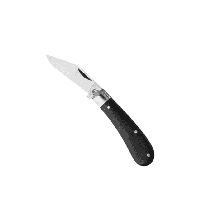 Taylors Eye Witness Clip Point Pocket Knife – 2¼