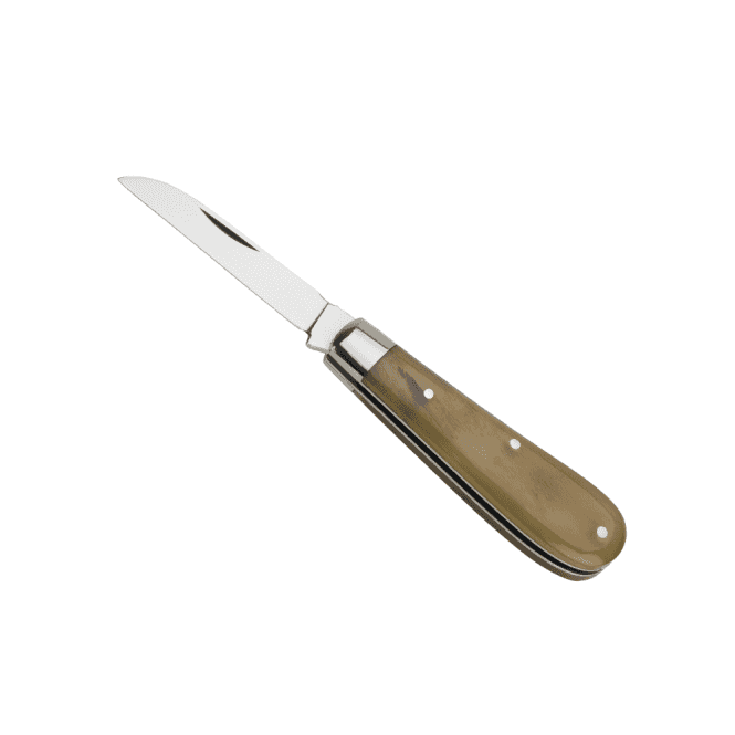 Taylors Eye Witness Lambfoot - Rams Horn Work Back Pocket Knife